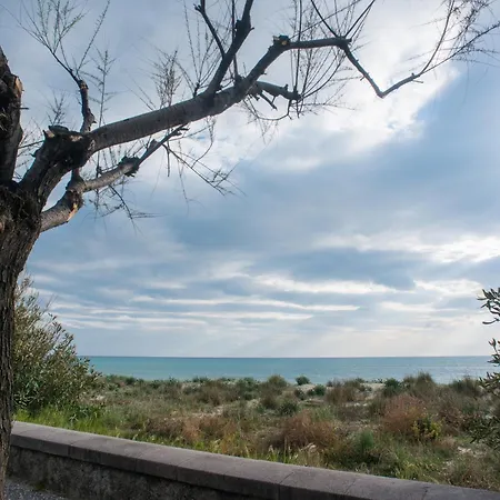 Oleandro & Blu Mare Ascea