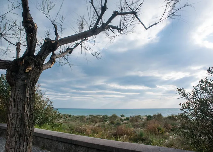 Oleandro & Blu Mare Ascea